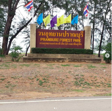 เทฐานราก อาคารเรียนรู้โครงการพัฒนาป่าไม้ปากน้ำปราณบุรี  บริษัท นายวี จำกัด